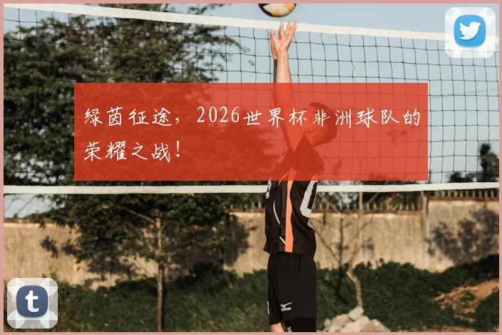 绿茵征途，2026世界杯非洲球队的荣耀之战！