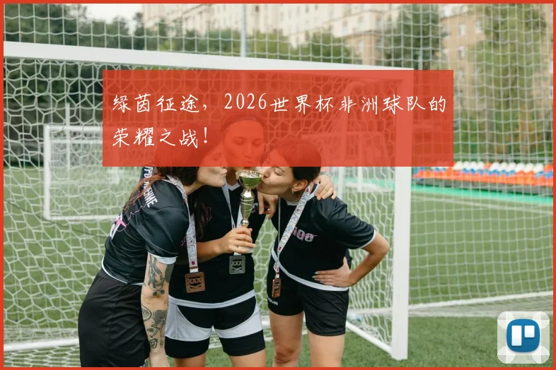 绿茵征途，2026世界杯非洲球队的荣耀之战！