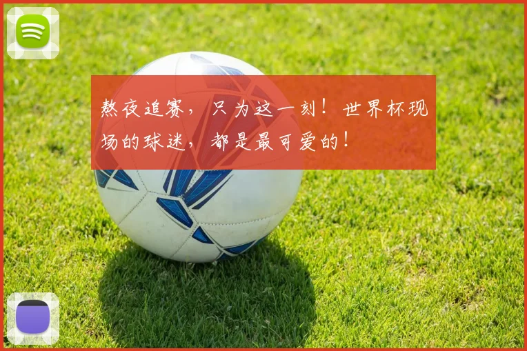 熬夜追赛，只为这一刻！世界杯现场的球迷，都是最可爱的！